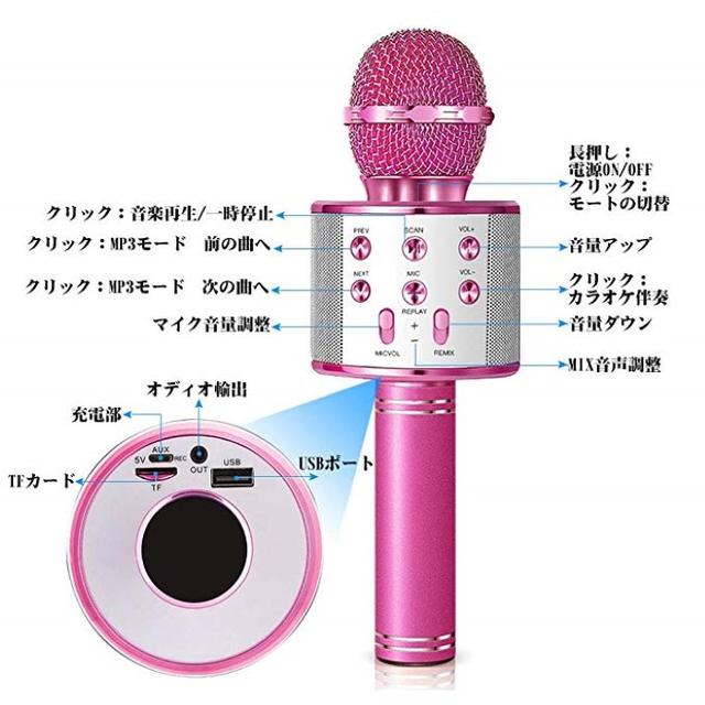 送料無料！！DAMIGRAM マイク 楽器のレコーディング/PA機器(マイク)の商品写真