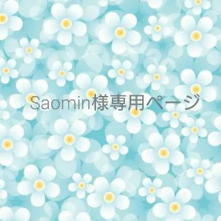 Saomin様専用ページ(ネックレス)