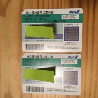 エーエヌエー(ゼンニッポンクウユ)(ANA(全日本空輸))のANA 株主優待券 どらちゃん様専用(その他)