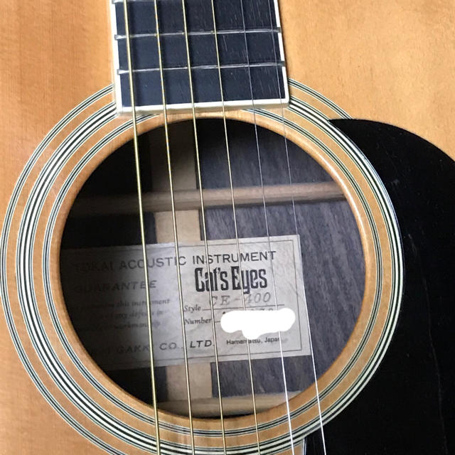 アコースティックギター Cat's eye CE-400