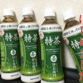 ■訳あり　サントリー 特茶 500ml（特保）4箱（計96本）(茶)