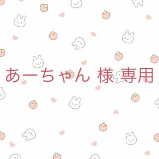 あーちゃん 様 専用(その他)