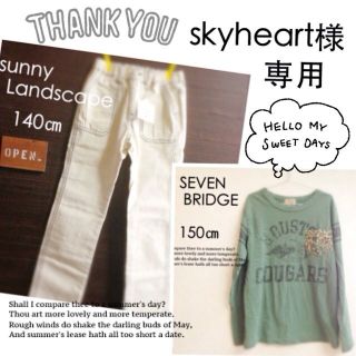 skyheart様＊専用(その他)