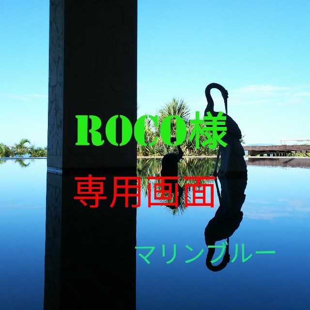 ROCO様専用画面です♪宅配ビニール袋 www.termasbryant.com