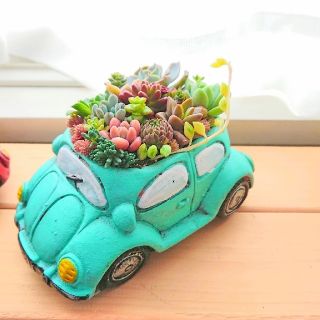 多肉寄せ植え ヴィンテージフラワーカー ブルー(その他)