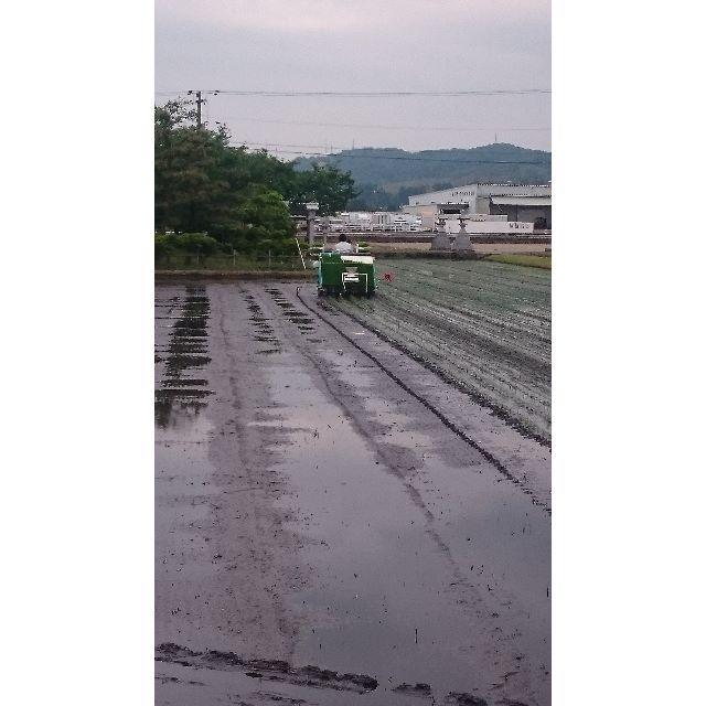 H30年富山県産１等米コシヒカリ玄米10㎏を精米（白米） 1