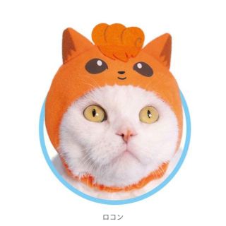 ポケモン 猫の通販 18点 ポケモンのその他を買うならラクマ