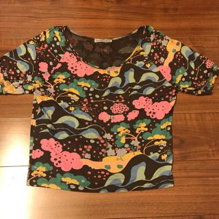 ツモリチサト(TSUMORI CHISATO)のツモリチサト トップス(カットソー(半袖/袖なし))