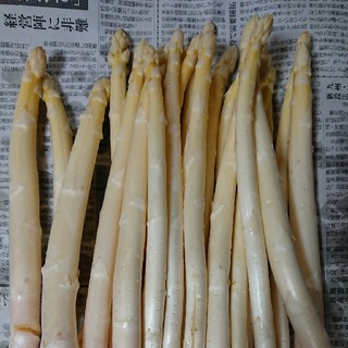 佐賀県産ホワイトアスパラ1キロ(訳あり)(野菜)