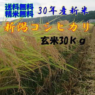農家直送！H30年産✨新潟コシヒカリ玄米30kg (米/穀物)