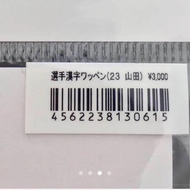 オリックス・バファローズ(オリックスバファローズ)の成瀬善久 投手 漢字ワッペン スポーツ/アウトドアの野球(応援グッズ)の商品写真