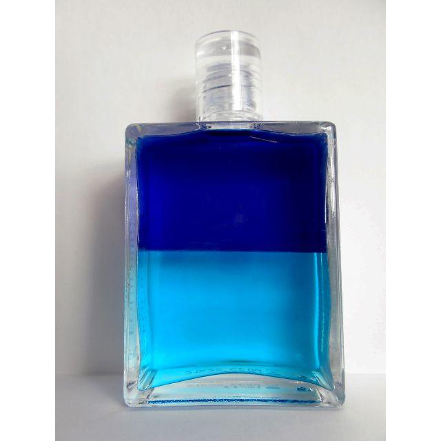 イクイリブリアムボトル 33番 ドルフィン / 目的のある平和 コスメ/美容の香水(ユニセックス)の商品写真