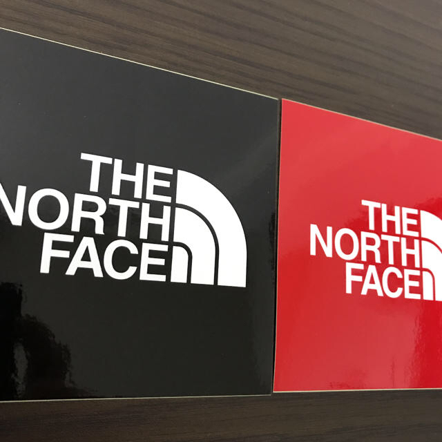 【縦9.5cm横9.5cm】THE NORTH FACE ステッカー二枚セット