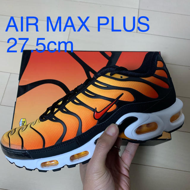 美品 Nike Air Max Plus Retro Future スニーカー