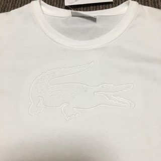 ラコステ(LACOSTE)のキナコ様専用出品 LACOSTE SPORT Lサイズ 新品未使用(Tシャツ(半袖/袖なし))