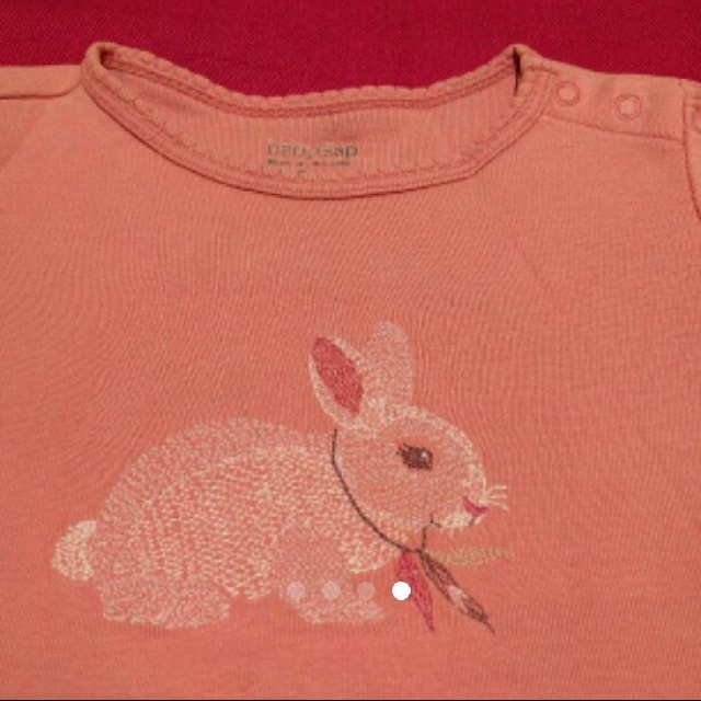 babyGAP(ベビーギャップ)の✨GAPギャップ、ベビー、見事な刺繍、Tシャツ キッズ/ベビー/マタニティのキッズ服女の子用(90cm~)(Tシャツ/カットソー)の商品写真