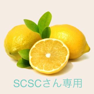 SCSCさん専用(ポータブルプレーヤー)