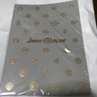 ジャニーズ(Johnny's)のジャニーズキングアンドプリンスアイランド パンフレット(アイドルグッズ)