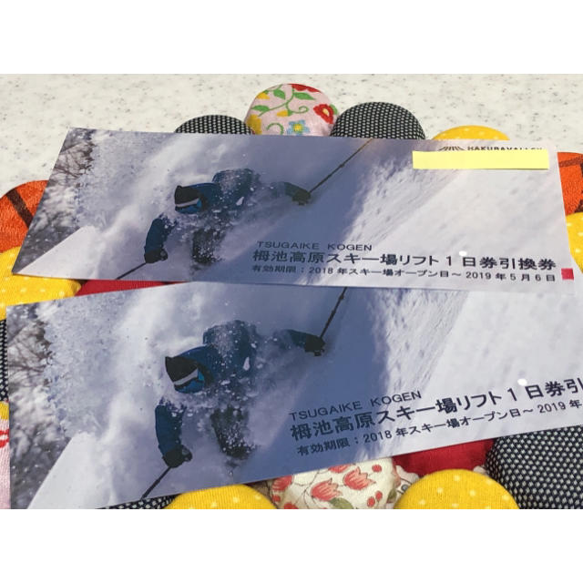 施設利用券栂池高原 スキー場 リフト1日券 引換券 2枚1組 - スキー場