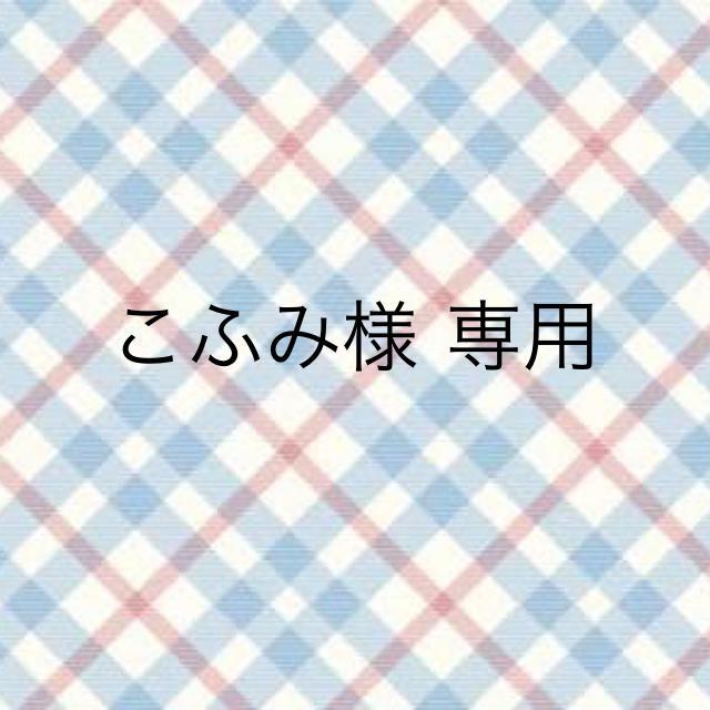 こふみ様 専用 その他のその他(その他)の商品写真