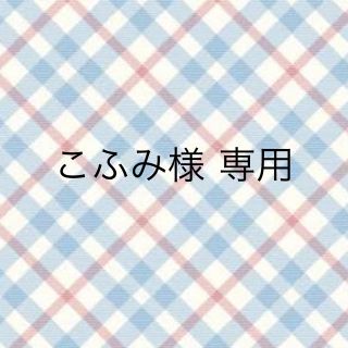 こふみ様 専用(その他)