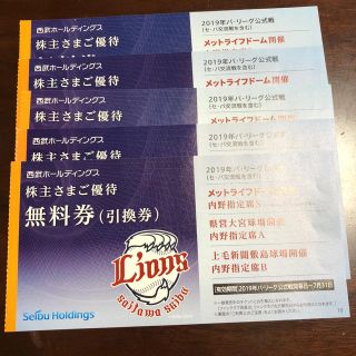 サイタマセイブライオンズ(埼玉西武ライオンズ)の株式会社西武ホールディングス 株主優待(その他)