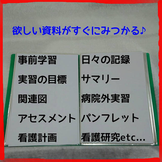 ⛔️超増量版⛔️看護実習★お役立ち資料😍😍看護過程 エンタメ/ホビーのCD(CDブック)の商品写真