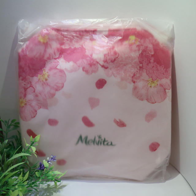 Melvita(メルヴィータ)の★未使用・国内未発売 Melvita 化粧水 ポーチセット★ コスメ/美容のスキンケア/基礎化粧品(化粧水/ローション)の商品写真