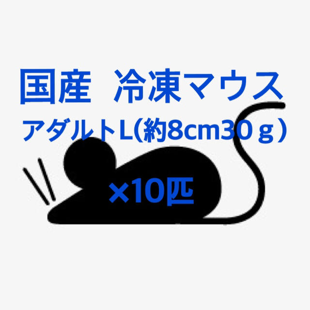 国産冷凍アダルトマウスL☆10匹 その他のペット用品(爬虫類/両生類用品)の商品写真