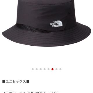 ザノースフェイス(THE NORTH FACE)のヨイヒト様専用 THE NORTH FACE  (ハット)