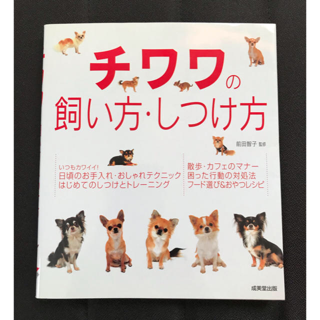 チワワの飼い方しつけ方   成美堂出版 その他のペット用品(犬)の商品写真