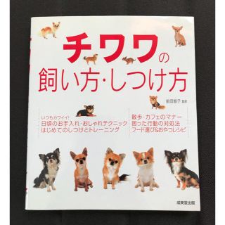 チワワの飼い方しつけ方   成美堂出版(犬)