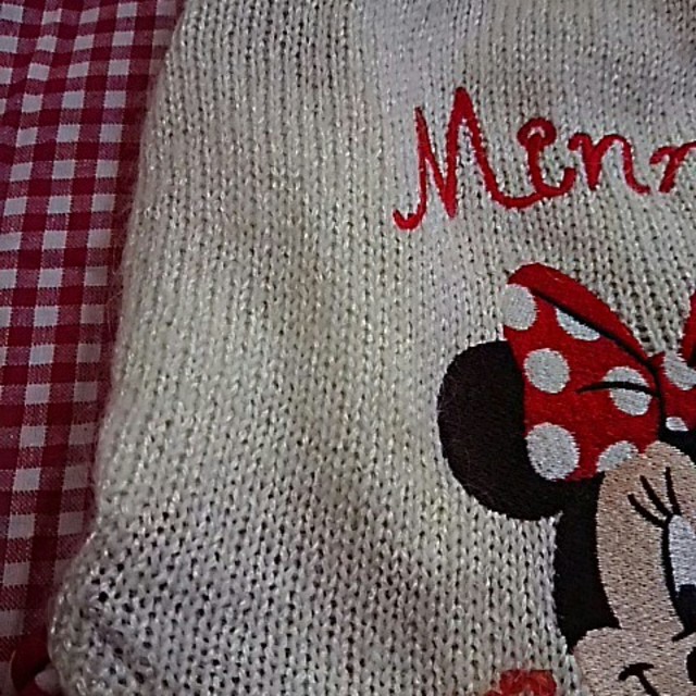 Disney(ディズニー)の犬服ミニーマウスワンピース その他のペット用品(犬)の商品写真