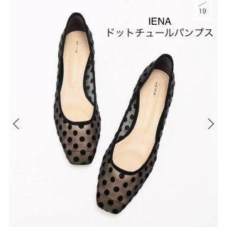 イエナ(IENA)のIENA ドットチュールパンプス 23.5㎝(ハイヒール/パンプス)