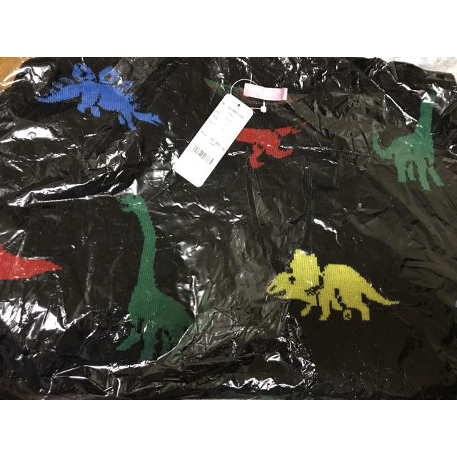 WEGO(ウィゴー)のWEGOザウルスニット レディースのトップス(ニット/セーター)の商品写真