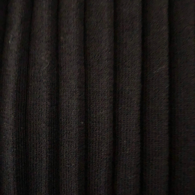 SLY(スライ)のSLY プリーツスカート ブラック 無地 レディースのスカート(ひざ丈スカート)の商品写真