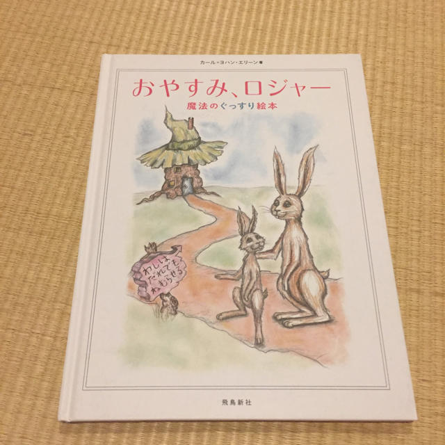 おやすみロジャー  寝かしつけ 絵本 B5 エンタメ/ホビーの本(絵本/児童書)の商品写真