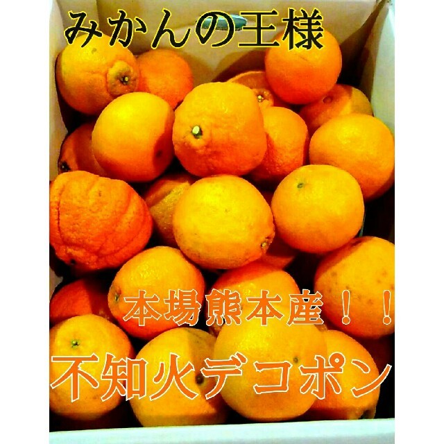 《お待たせ致しました》本場熊本産みかんの王様不知火デコポン約10kg 送料無料1 食品/飲料/酒の食品(フルーツ)の商品写真