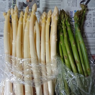 佐賀県産ホワイト&グリーンアスパラ1キロ(訳あり)(野菜)