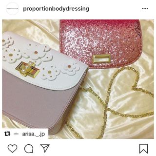 プロポーションボディドレッシング(PROPORTION BODY DRESSING)のプロポーションボディドレッシング カスタムバッグ チェーンバッグ ショルダー(ハンドバッグ)