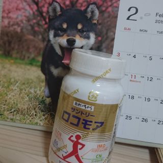サントリー(サントリー)のサントリー  ロコモア 180粒(その他)
