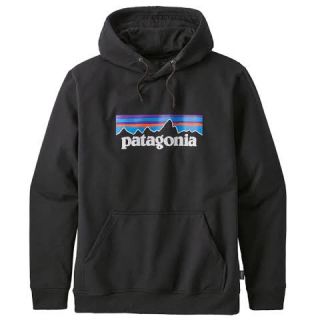 パタゴニア(patagonia)のパタゴニア P-6 ロゴ アップライザル フーディ パーカー M  (パーカー)