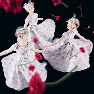 トッカ(TOCCA)の° . ♡FLOWER WALTZ  FRAGRANT ROSEドレス ♡ .°(ひざ丈ワンピース)