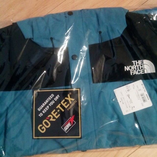 THE NORTH FACE MOUNTAIN LIGHT JACKT