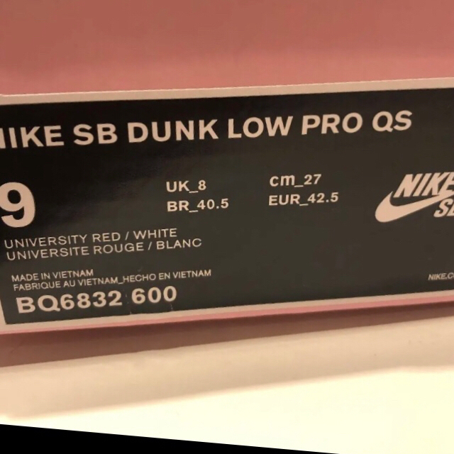 NIKE(ナイキ)のGirls Don't Cry  NIKE SB メンズの靴/シューズ(スニーカー)の商品写真