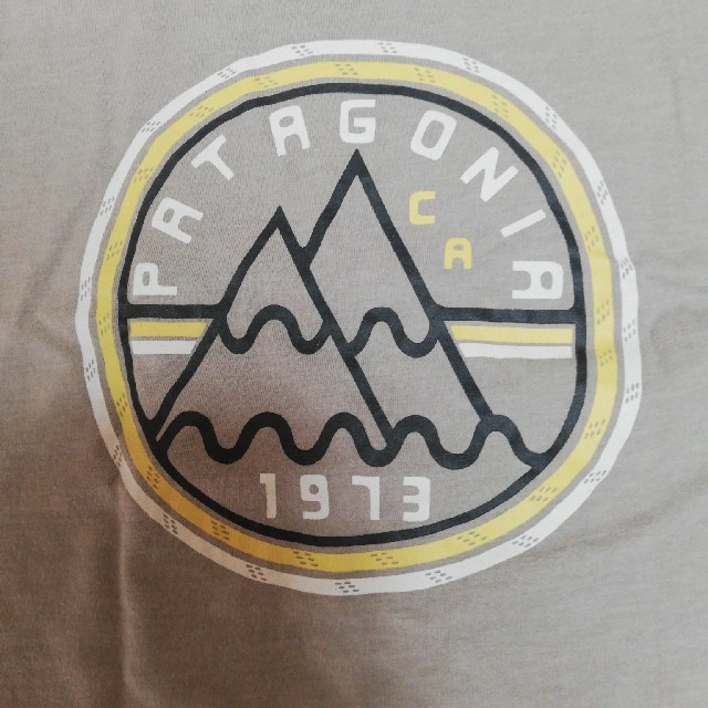 patagonia(パタゴニア)のpatagonia　Tシャツ　レディース　S ～M レディースのトップス(Tシャツ(半袖/袖なし))の商品写真