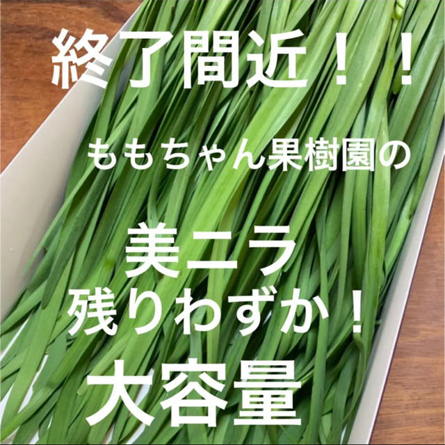 あき様 専用 食品/飲料/酒の食品(野菜)の商品写真