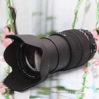 シグマ(SIGMA)の❤️１本で大満足❤️キャノン用 シグマ 18-200mm DC OS❤️(デジタル一眼)