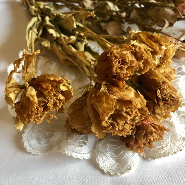 ドライフラワー 花材 トルコキキョウ ミニバラの通販 By くるみりす ラクマ ドライフラワー 花材 トルコキキョウ ミニバラの通販 By くるみりす ラクマ