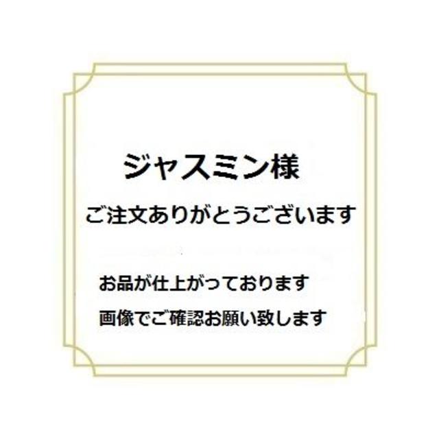 ジャスミン様＊オムツポーチ＊おしり拭きケース＊ラミネート キッズ/ベビー/マタニティのおむつ/トイレ用品(ベビーおしりふき)の商品写真